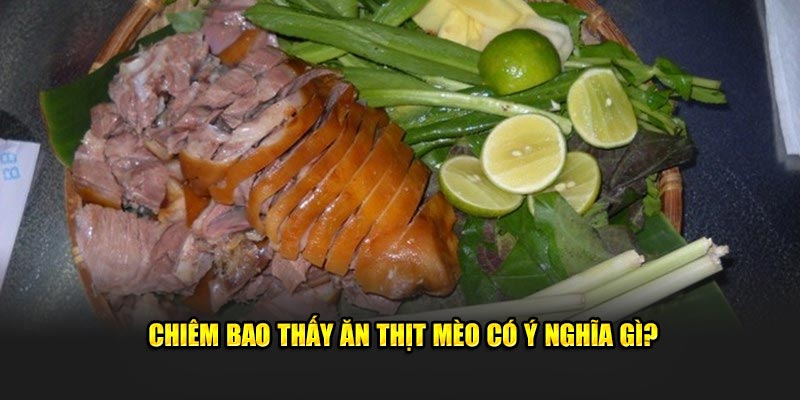 Chiêm bao thấy ăn thịt mèo có ý nghĩa gì?