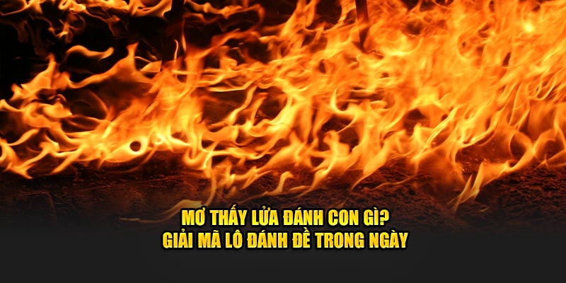 Mơ Thấy Lửa Đánh Con Gì? Giải Mã Lô Đánh Đề Trong Ngày 