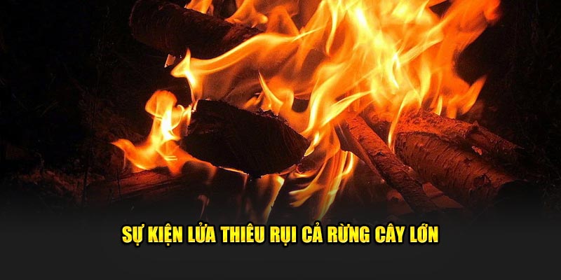 Sự kiện lửa thiêu rụi cả rừng cây lớn 